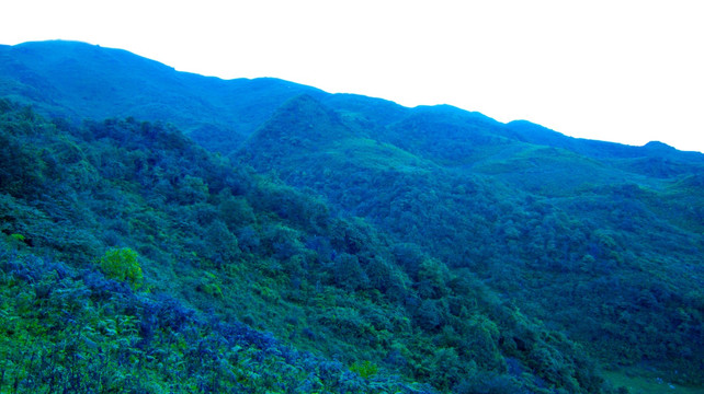 青山 大山