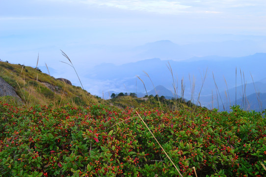 高山美景