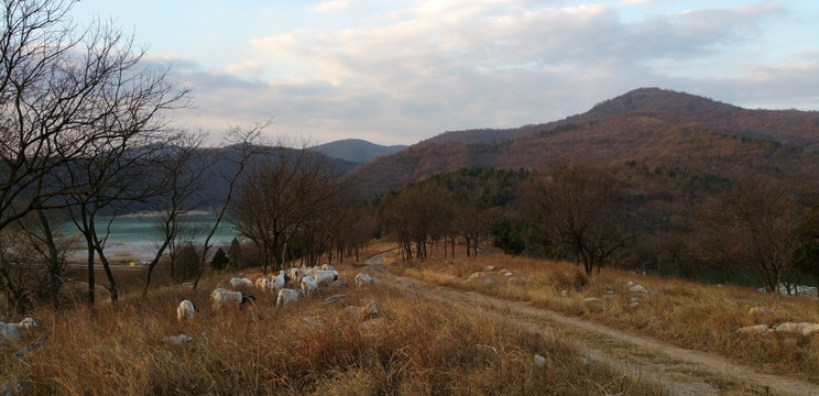 琅琊山景色之丰山晨曲