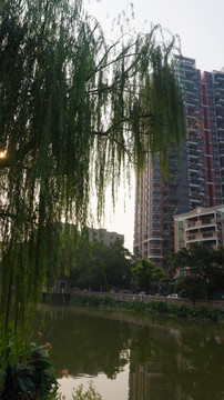 里水沿江公园