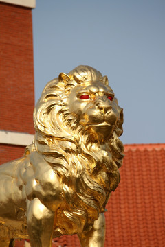 雕塑 圆雕 狮子 金色 金狮子