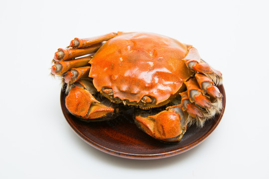 大闸蟹