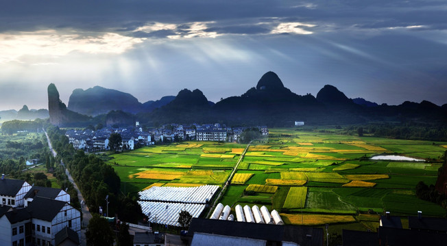 乡村风景