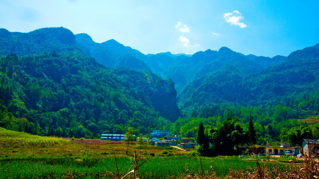 青山 大山