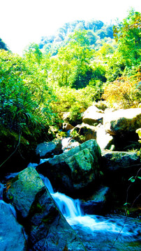 山泉 溪水