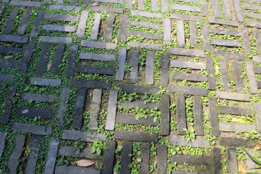 砖地