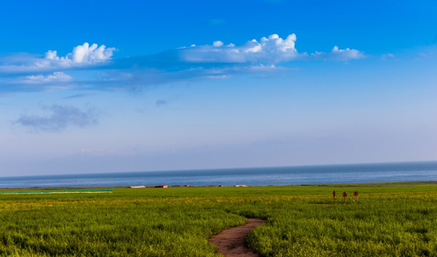 青海湖