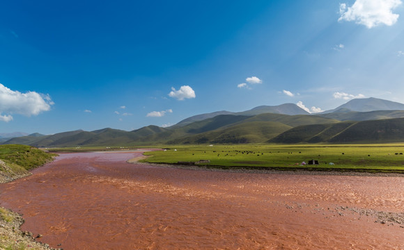 青海湖