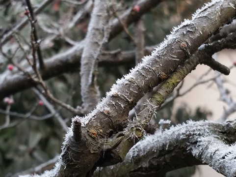 冰雪融化