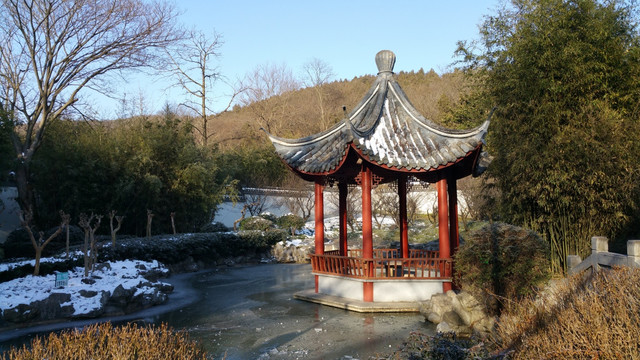 雪后初阳野芳园