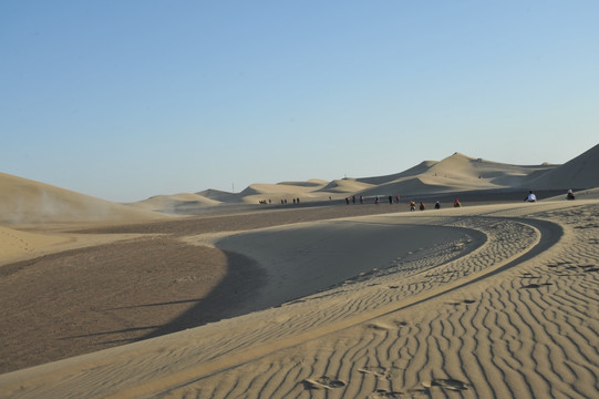 沙痕 额济纳旗巴丹吉林大沙漠