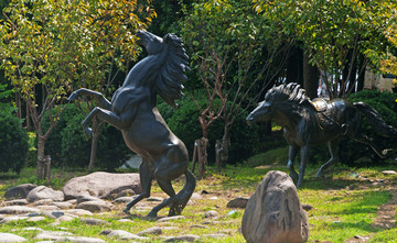 马雕塑景观