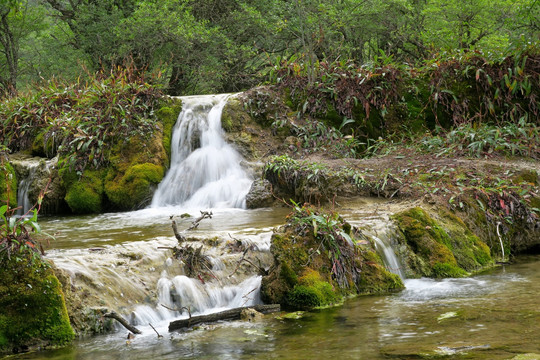 小溪流水