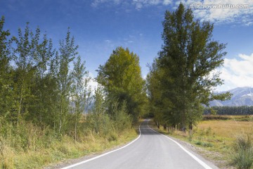 村级公路