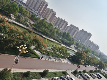 绿化