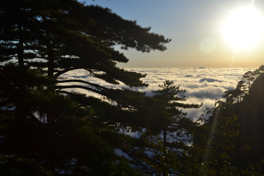 黄山日落 黄山云海 山顶