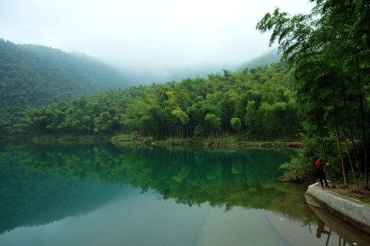 竹林倒影  兴文僰王山