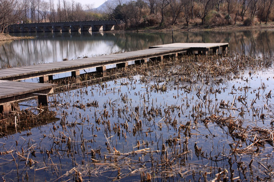西溪湿地走道