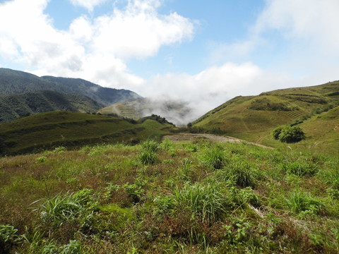 高山风景