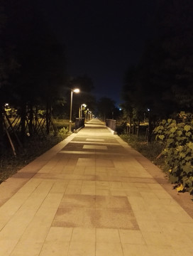 夜晚的公园