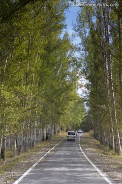 林荫小道