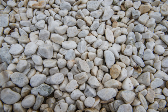 石头 平铺的饿卵石