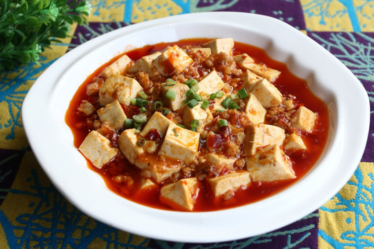 麻婆豆腐
