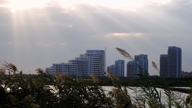 鱼塘 秋景