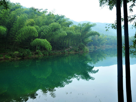 竹林倒影  兴文僰王山