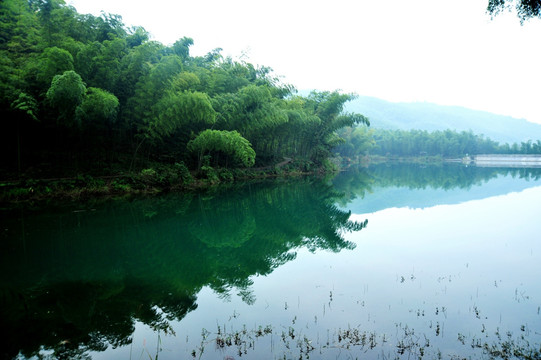 山水竹林风景壁纸