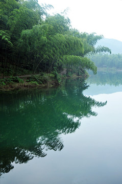 山水竹林风景壁纸
