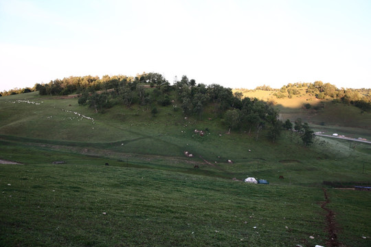 关山牧场