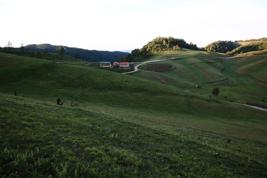 关山牧场