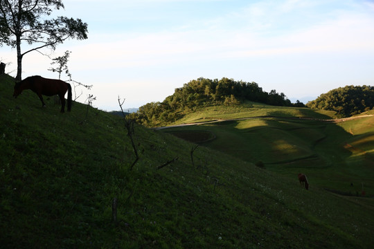 关山牧场