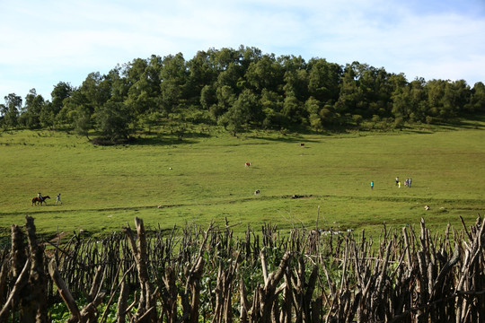 关山牧场