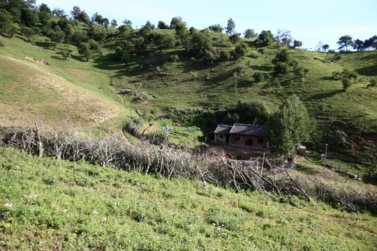 关山牧场
