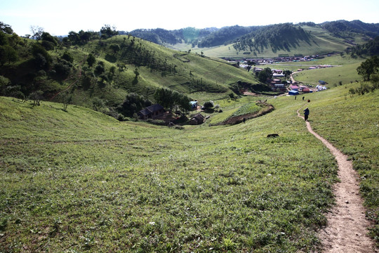 关山牧场