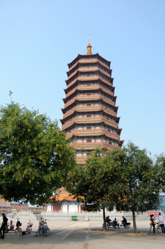 莘县燕塔