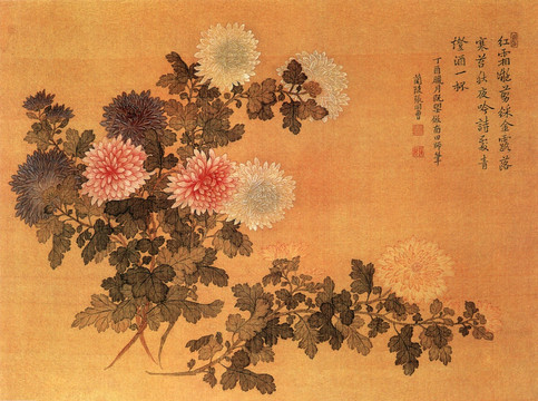 张同曾 菊花图