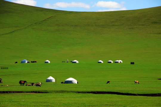 夏季草原上的蒙古包群