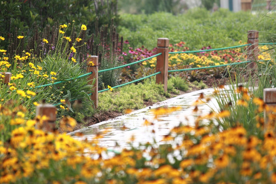 花园小路