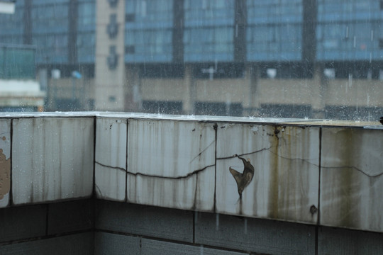 四溅的雨滴