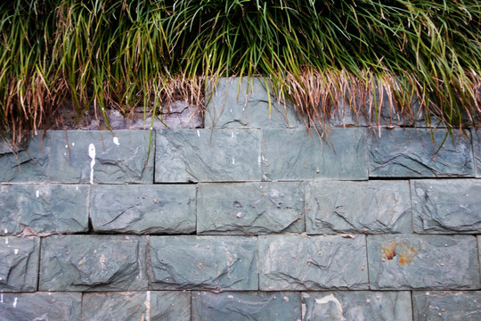 植物石砖墙