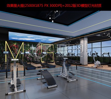 健身房效果图3D模型