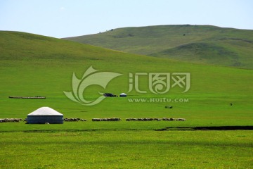 草原夏季牧场蒙古包