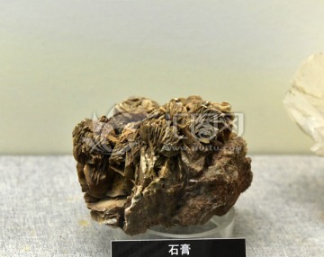 石膏 花瓣状集合体