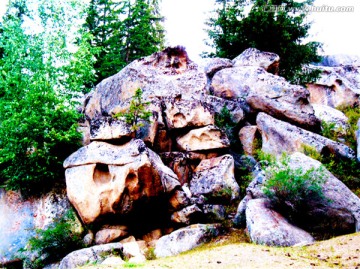 新疆奇形怪状的石头