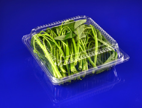 一次性透明塑蔬菜果盒