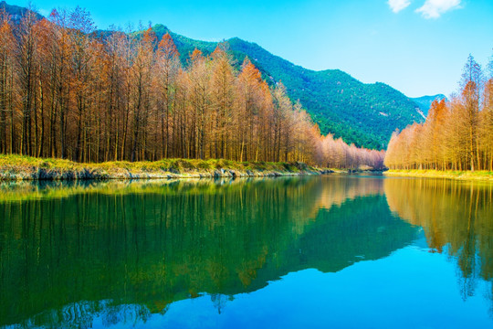 山水