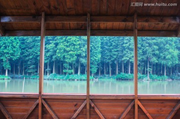 水上森林竹林摄影风景